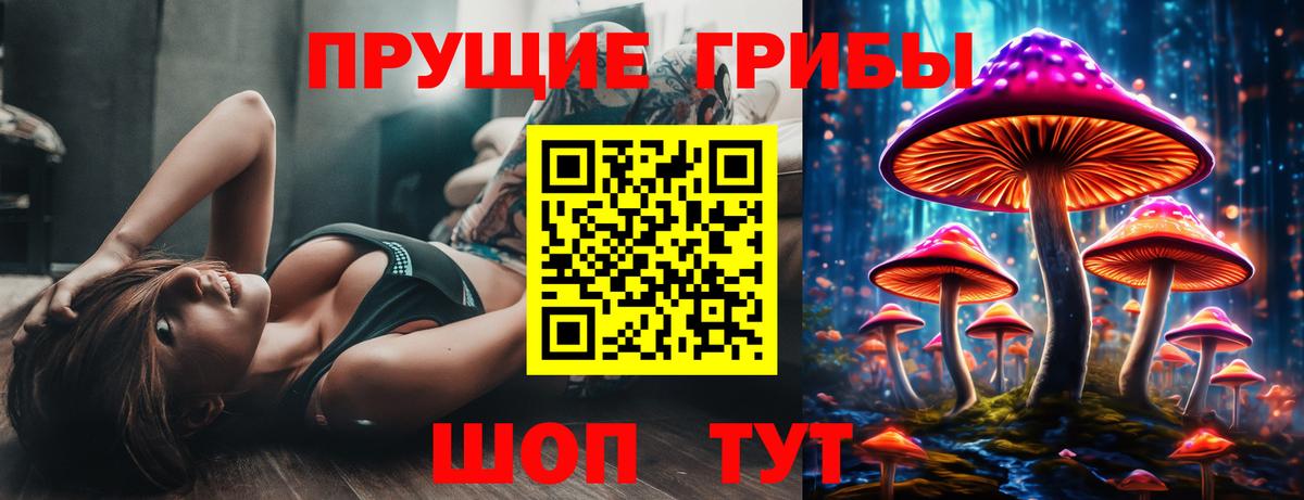 Галлюциногенные грибы ЛСД  Вход с VPN  Дзержинск  Галлюциногенные грибы мухоморы 